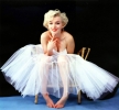 Smash Marilyn Monroe 